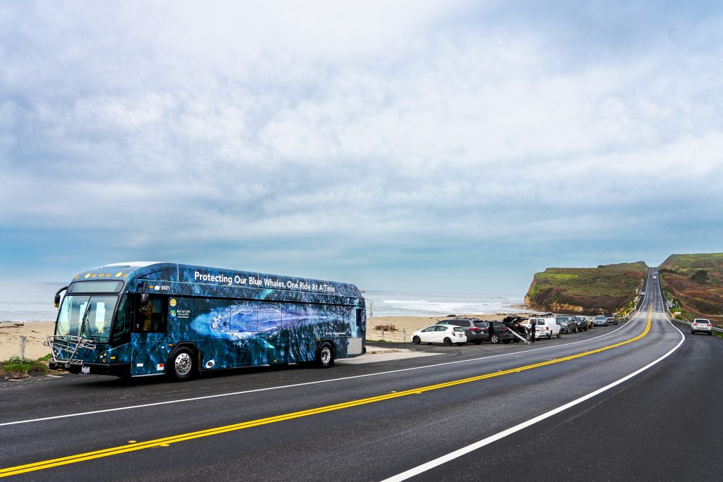 One Ride at a Time whale bus park on the side of the street with the beach in tha background