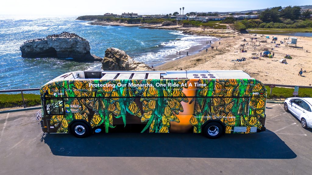 One Ride at a Time Monarch butterfly bus parked at the beach