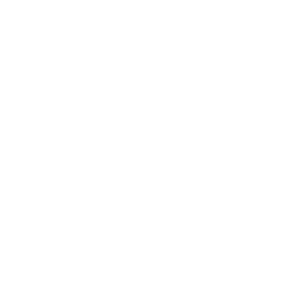 Primary Logo White - PNG